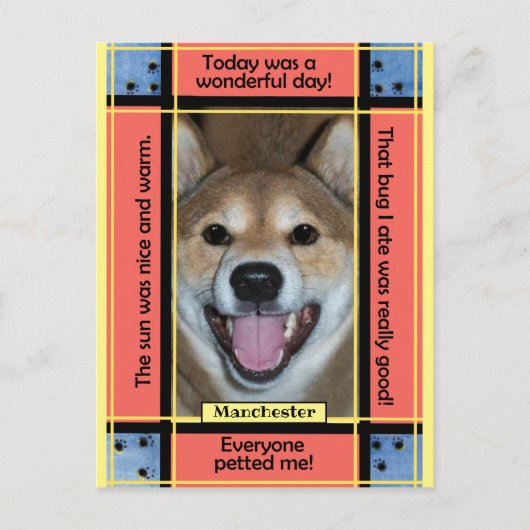 Maak Je Eigen Huisdier Hond Kat Foto Grappige Teks Briefkaart (Voorkant)