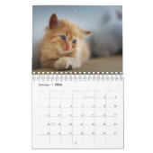 Maak je eigen huisdier kat foto's 2025 2-pagina ka kalender (Jan 2026)