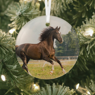 Maak Je Eigen Huisdier Paard Foto Aangepaste Foto Glas Ornament