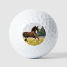 Maak Je Eigen Huisdier Paard Foto Aangepaste Foto