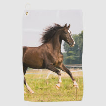 Maak Je Eigen Huisdier Paard Foto Aangepaste Foto