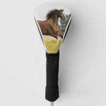 Maak Je Eigen Huisdier Paard Foto Aangepaste Foto
