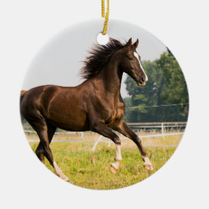 Maak Je Eigen Huisdier Paard Foto Aangepaste Foto Keramisch Ornament