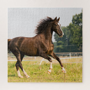 Maak Je Eigen Huisdier Paard Foto Aangepaste Foto Legpuzzel