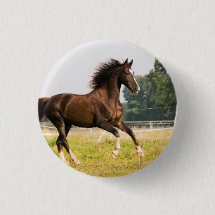 Maak Je Eigen Huisdier Paard Foto Aangepaste Foto Ronde Button 3,2 Cm
