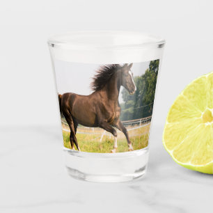 Maak Je Eigen Huisdier Paard Foto Aangepaste Foto Shot Glas