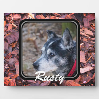 Maak je eigen huisdierplaquette fotoplaat