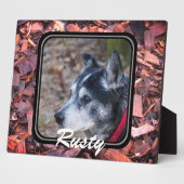 Maak je eigen huisdierplaquette fotoplaat (Zijkant)