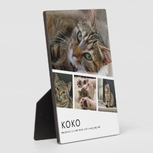 Maak Je Eigen Kat Foto Fotoplaat