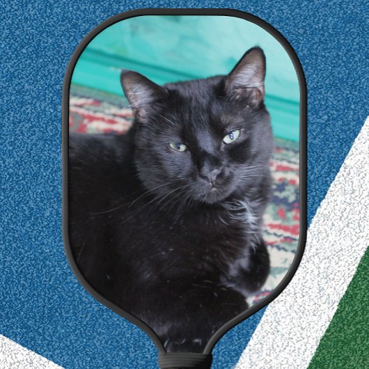 Maak Je Eigen Kat Foto Moppige Pickleball Paddle