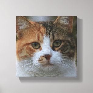 Maak Je Eigen Kattenhuisdier Foto Aangepaste Foto Canvas Afdruk