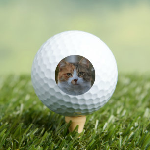 Maak Je Eigen Kattenhuisdier Foto Aangepaste Foto Golfballen