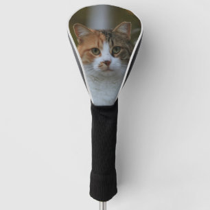 Maak Je Eigen Kattenhuisdier Foto Aangepaste Foto Golfheadcover