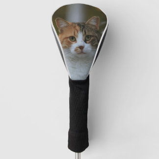Maak Je Eigen Kattenhuisdier Foto Aangepaste Foto Golfheadcover