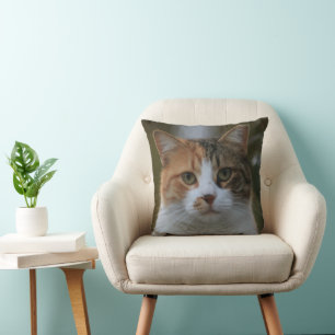 Maak Je Eigen Kattenhuisdier Foto Aangepaste Foto Kussen