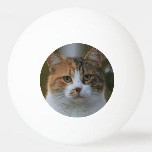 Maak Je Eigen Kattenhuisdier Foto Aangepaste Foto Pingpongbal