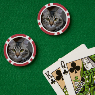 Maak Je Eigen Kattenhuisdier Foto Aangepaste Foto Poker Chips