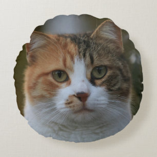 Maak Je Eigen Kattenhuisdier Foto Aangepaste Foto Rond Kussen