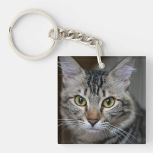 Maak Je Eigen Kattenhuisdier Foto Aangepaste Foto Sleutelhanger