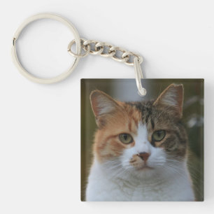Maak Je Eigen Kattenhuisdier Foto Aangepaste Foto Sleutelhanger
