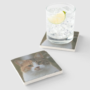 Maak Je Eigen Kattenhuisdier Foto Aangepaste Foto Stenen Onderzetter