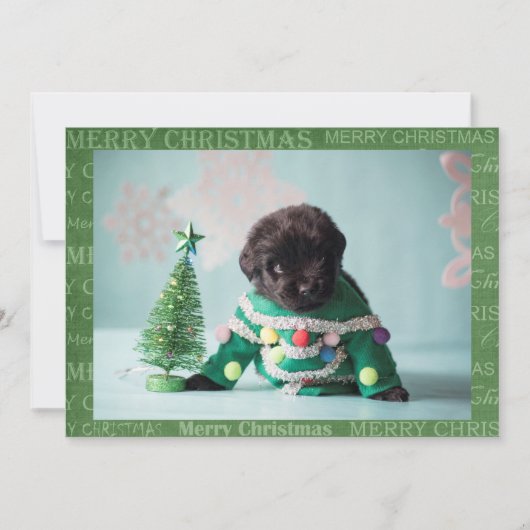 Maak je eigen kerstkaart (Voorkant)