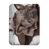 Maak je eigen op maat gemaakte huisdier hond koelk magneet (Verticaal)