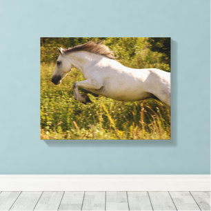 Maak Je Eigen Paard Foto Aangepast Canvas Afdruk