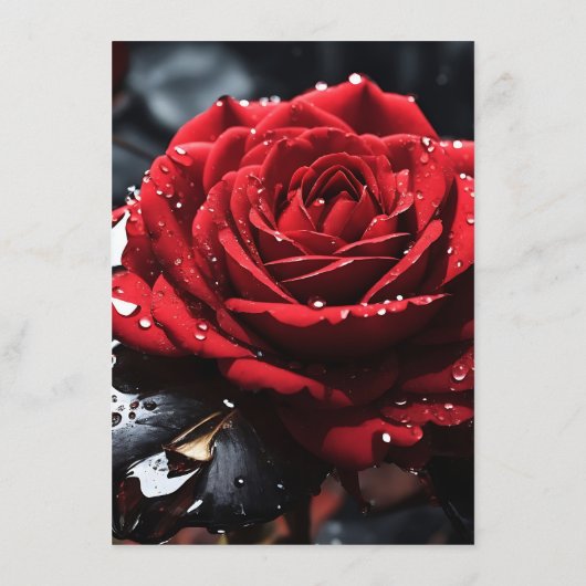 Maak Je Eigen Rode Roos Close-up Menu (Achterkant)