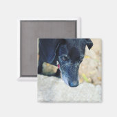 Maak je eigen tapelmagneten magneet (Voorkant / Achterkant)