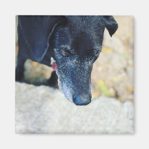 Maak je eigen tapelmagneten