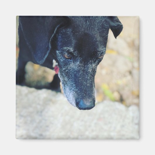 Maak je eigen tapelmagneten magneet (Voorkant)