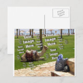 Maak Je Eigen Verbluffende Afbeelding Sjabloon Briefkaart (Voorkant / Achterkant)
