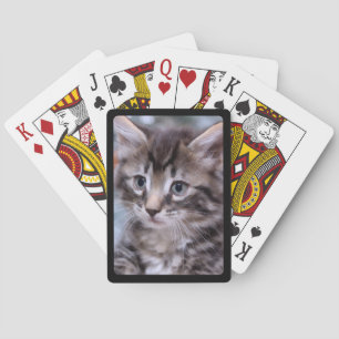 Maak Je Eigen Zwarte Rand Huisdier Foto Pokerkaarten
