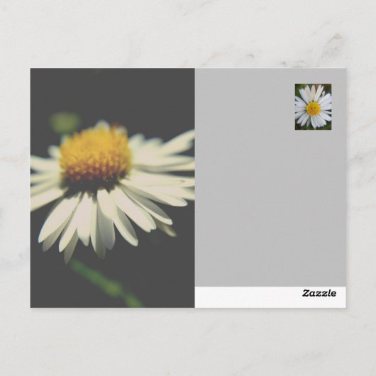  Maak je geen zorgen, bloemkracht! Briefkaart (Achterkant)