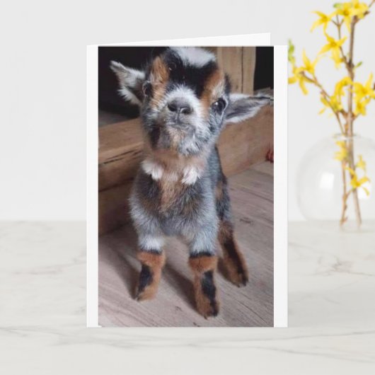 MAAK JE GEEN ZORGEN EN HEB EEN "GELUKKIGE 40E VERJ KAART (Gele Bloem)