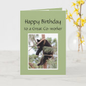 Maak je geen zorgen over het Beer van je verjaarda Kaart (Gele Bloem)