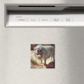 Maak je geen zorgen, wees blij, varken vierkante m magneet (Insitu (Vaatwasser))