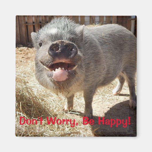 Maak je geen zorgen, wees blij, varken vierkante m magneet (Voorkant)