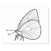 Maak Jouw Eigen Tekening van een Rustende Vlinder Rubberstempel (Afrduk)
