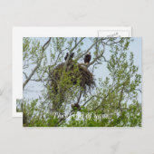 Maak kennis met de familie Eagle Briefkaart (Voorkant / Achterkant)