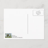 Maak kennis met de familie Eagle Briefkaart (Achterkant)