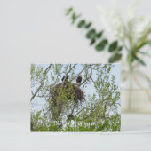 Maak kennis met de familie Eagle Briefkaart (Staand voorkant)