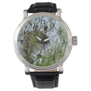 Maak kennis met de familie Eagle Horloge
