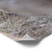 Maak kennis met de nieuwe baby poster (Hoek)