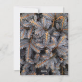 Maak kennis met de World KerstTree-fotokaart Feestdagenkaart (Achterkant)