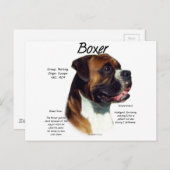 Maak kennis met het ras briefkaart (Voorkant / Achterkant)