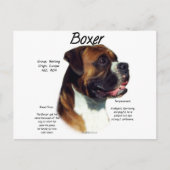 Maak kennis met het ras briefkaart (Voorkant)