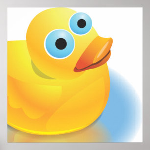 Maak kennis met meneer Kwak Poster