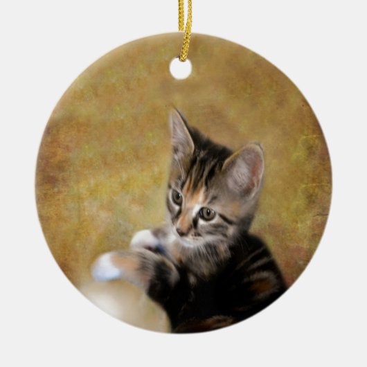 Maak kennis met tijger keramisch ornament (Voorkant)